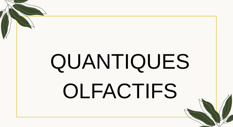 FORMATION QUANTIQUES OLFACTIFS